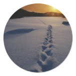 Lonely Snow Walk Round Stickers