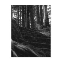 Lonely Stair Way Postcards