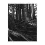 Lonely Stair Way postcards
