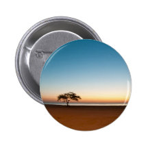 Lonely tree at sunrise in Kuwait Pin