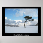 Lonely Tree, Dutch Harbor, Alaska Poster