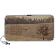 Lonely tree iPod speaker