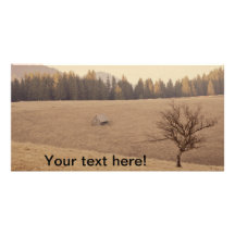 Lonely tree photo greeting card