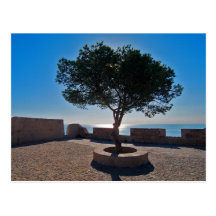 Lonely tree post cards