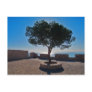 Lonely tree post cards