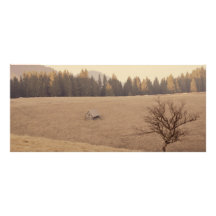 Lonely tree rack card