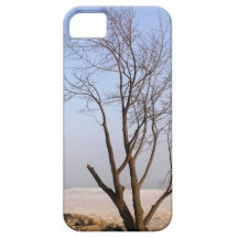 Lonely Winter Tree iPhone 5 Cases