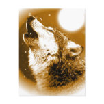 Lonely Wolf Howling at Moon