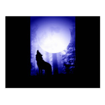 Lonely Wolf Howling at Moon Postcards