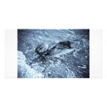 LonelyDuck photo card photo cards