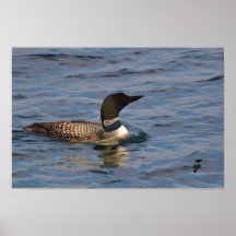 Loner Print