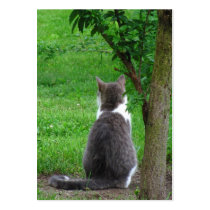 Lonesome Kitty ~ ATC