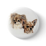 Long and smooth coat chihuahuas buttons