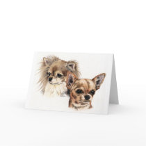 Long and smooth coat chihuahuas card