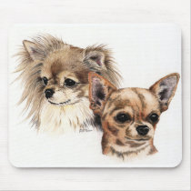 Long and smooth coat chihuahuas mouse mats