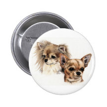 Long and smooth coat chihuahuas pin