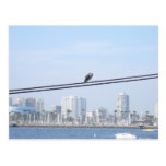 Long Beach Skyline Post Cards