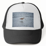 Long-billed Curlew hats