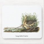 Long-billed Curlew, John Audubon mousepads