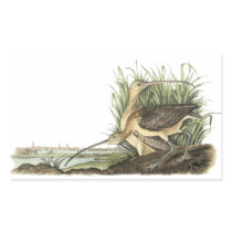 Long-billed Curlew, John Audubon Rectangular Stickers