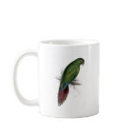 Long -Billed Parrakeet-Maccaw by Edward Lear mugs