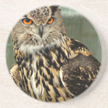 Long Eared Owl Coaster
