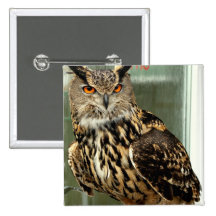 Long Eared Owl Pin