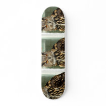 Long Eared Owl Skateboard