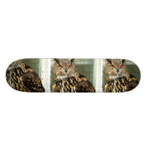 Long Eared Owl Skateboard