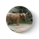 Long Haired Cattle buttons