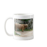 Long Haired Cattle mugs