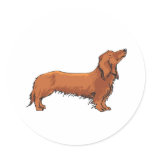 Long Haired Dachshund stickers