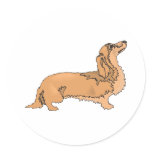 Long Haired Dachshund Sticker
