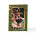 Long Haired German Shepherd Dog Christmas Card