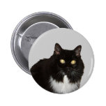 Long Haired Pet Cat Pinback Button