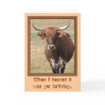 Long-horn Steer Birthday Card