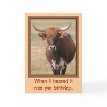 Long-horn Steer Birthday Card