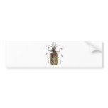 Long-Horned Beetle, Prionus Cervicornis Bumper Sticker