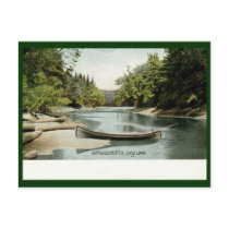Long Lake, Adirondack Mountains, NY 1906 Vintage Postcards