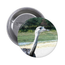 Long Neck Ostrich Profile Pin