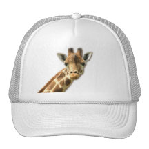 Long Necked Giraffe Baseball Hat
