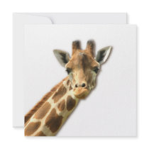 Long Necked Giraffe  Invitations