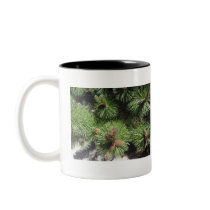 Long Needled Pine Mug