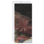 Long Nose Turtle rack cards