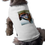 Long Sleeved Dress on Bed Pet Clothing