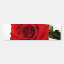 Long Stem Red Rose Bumper Sticker