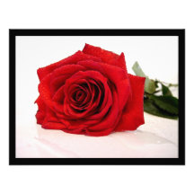 Long Stem Red Rose Invitation