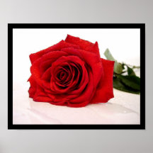 Long Stem Red Rose Poster