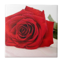 Long Stem Red Rose Tile tiles