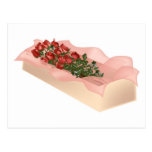 Long Stem Red Roses in Box Postcards